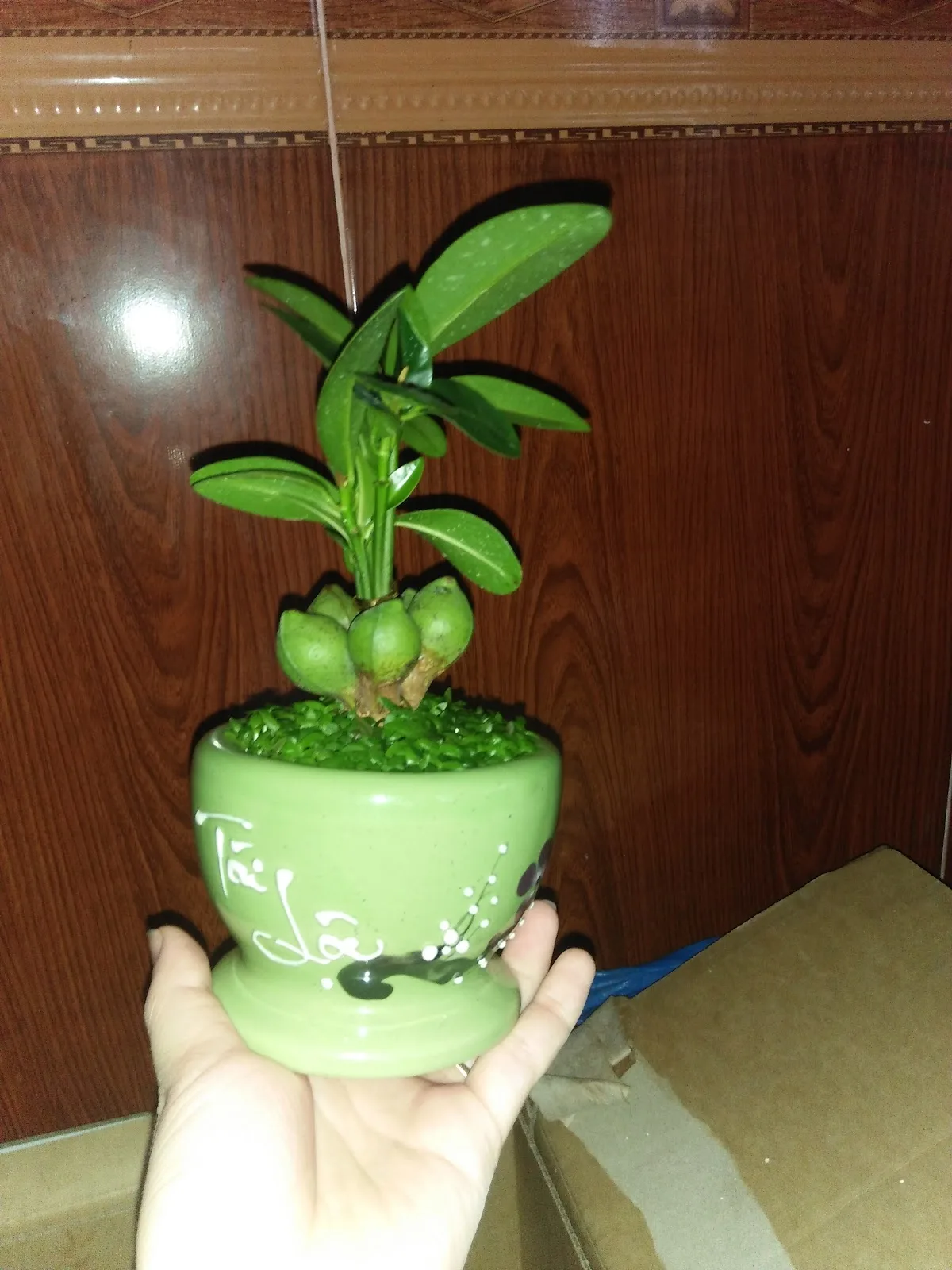 Ảnh Nhà Nghỉ Công An Nam Định