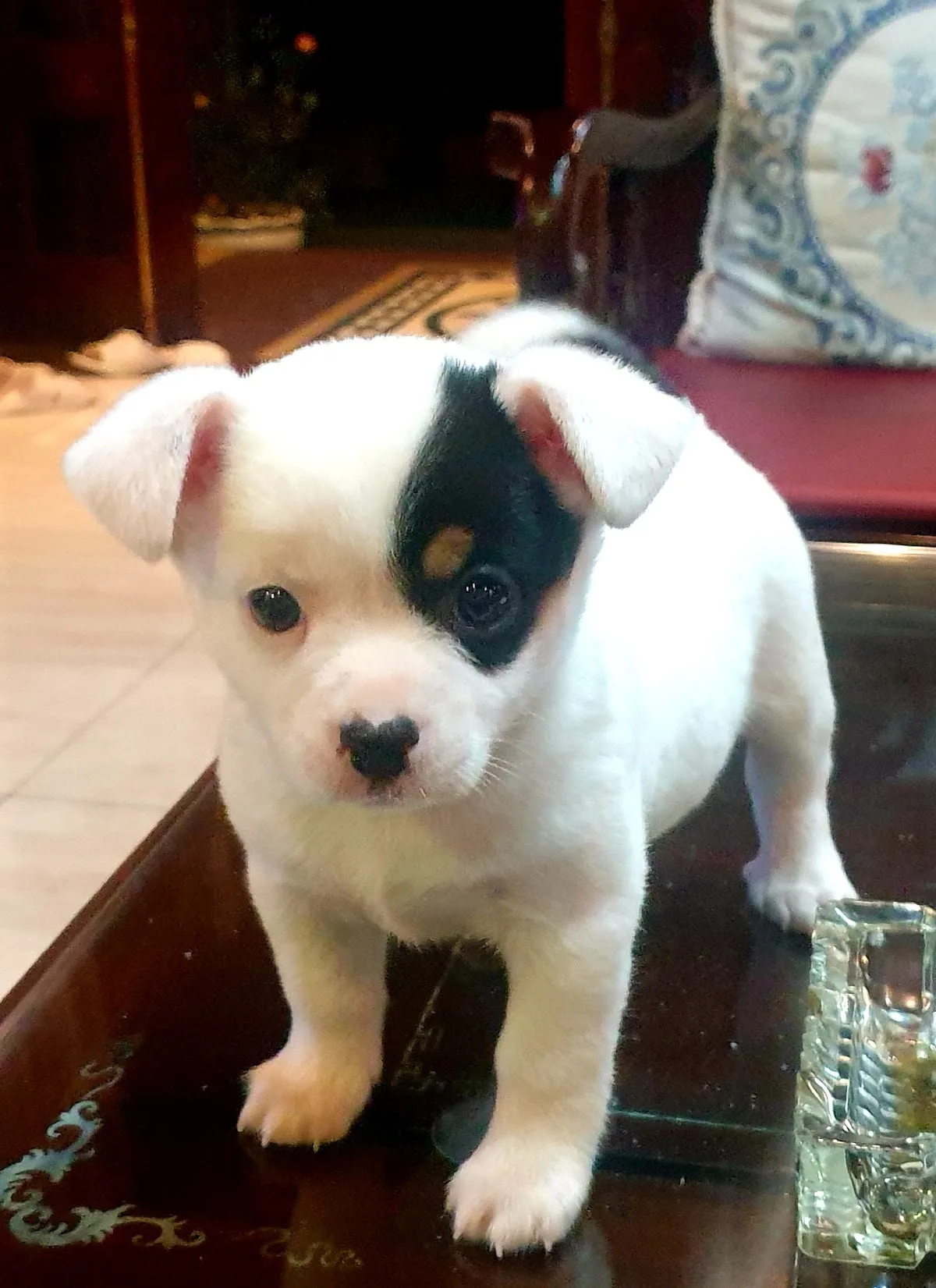 Ảnh Nhà Hàng Xứ Biển