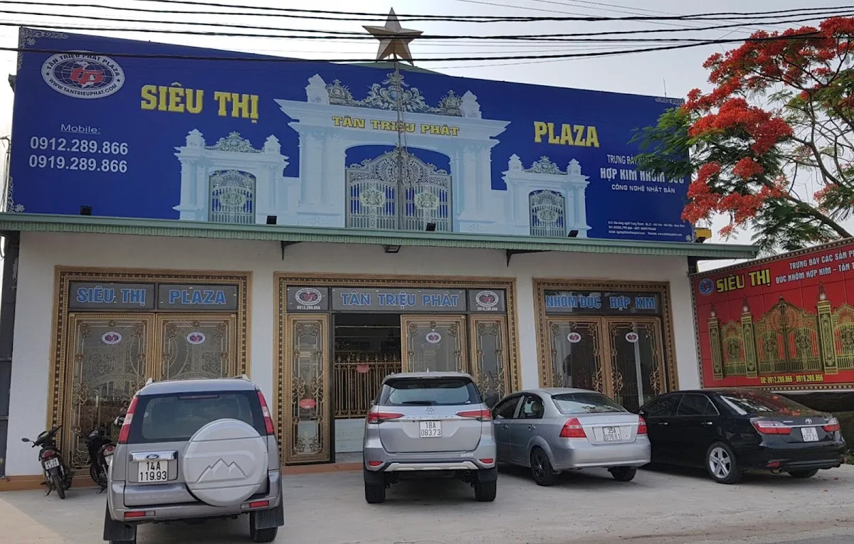 Ảnh 2 — Siêu Thị Tân Triệu Phát Plaza - Trưng bày nhôm đúc