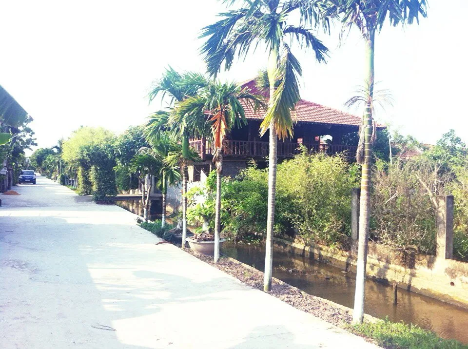 Ảnh Nhà Sàn Quán Trực Thái