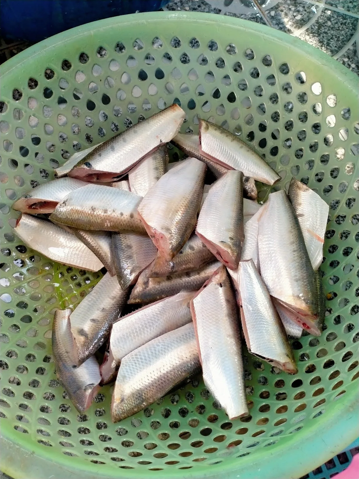 Ảnh Gỏi nhệch Thủy Len