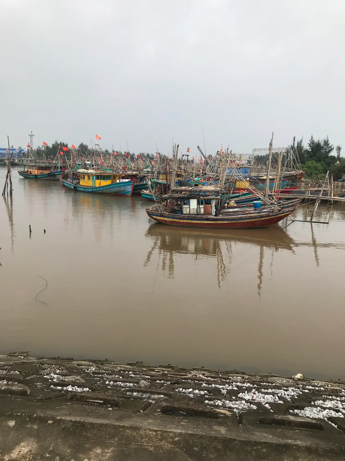 Ảnh Hải Sản Toản Lĩnh