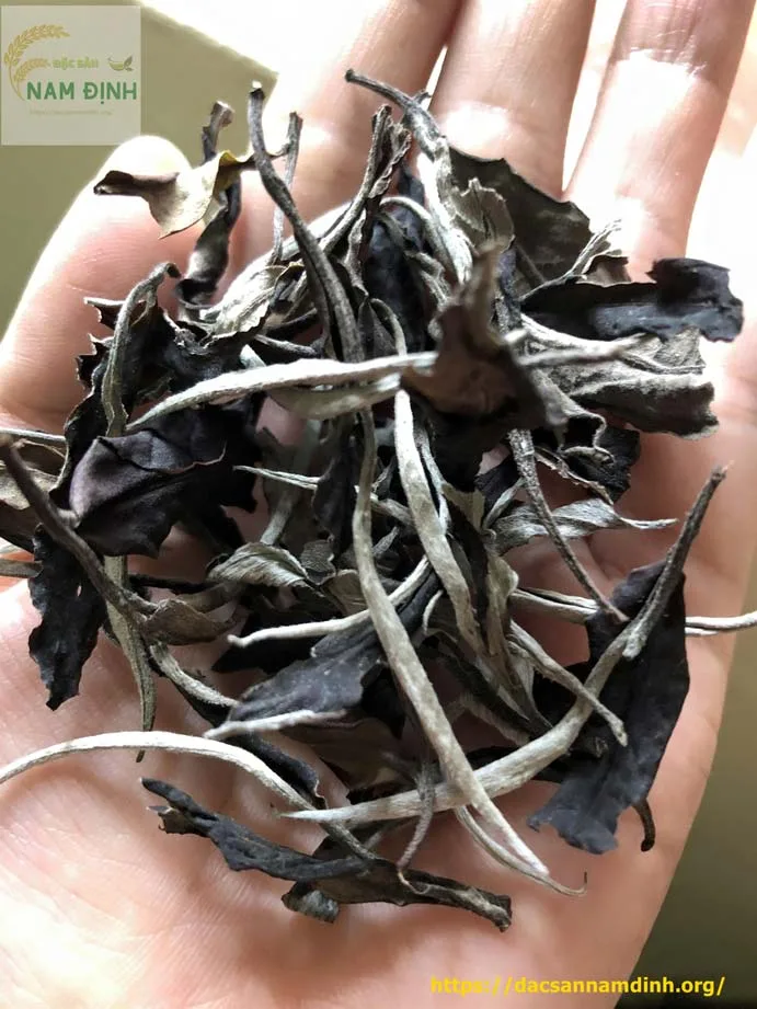 Ảnh 3 — Đặc sản Nam Định