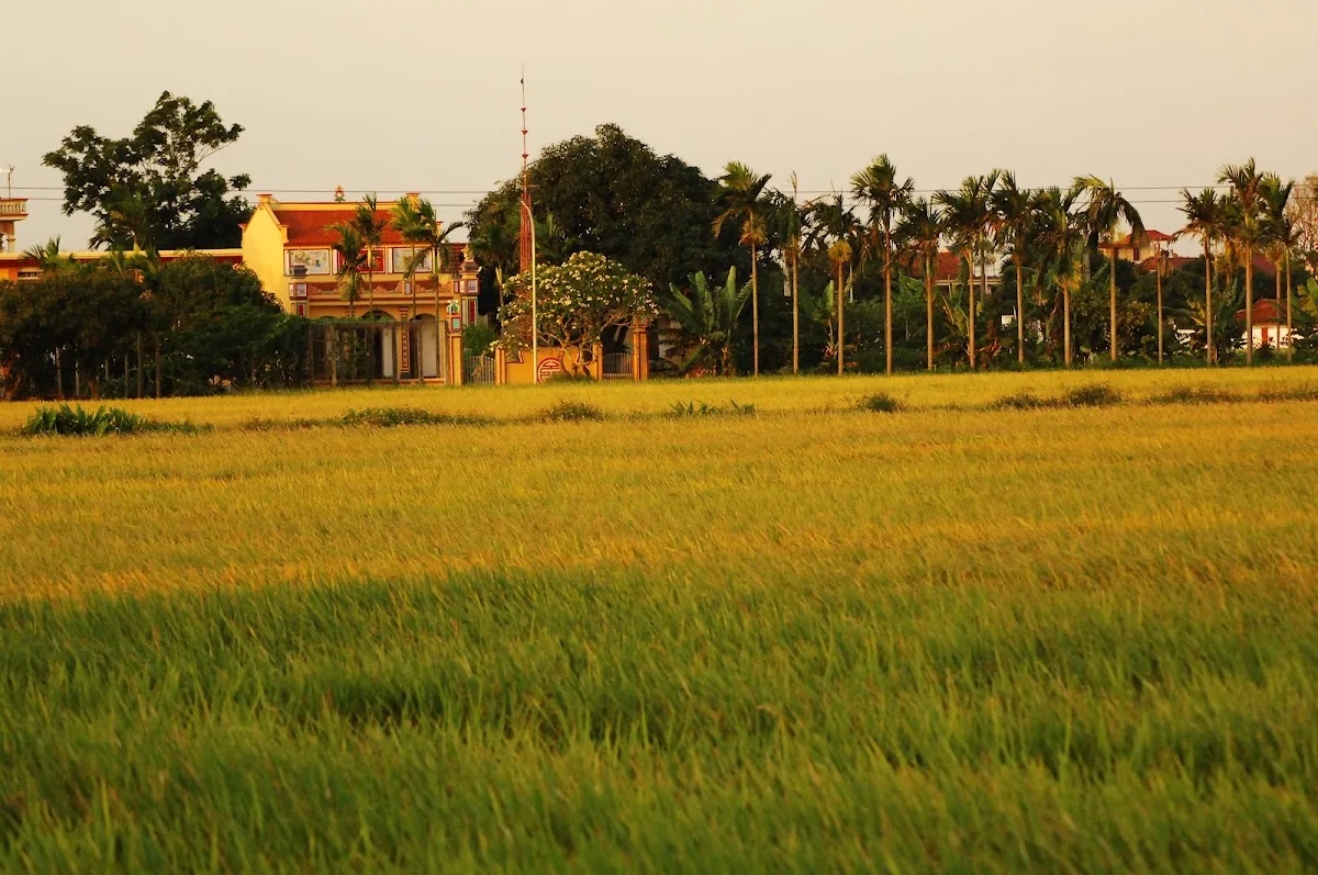 Ảnh Nhà Nghỉ Vạn Năng