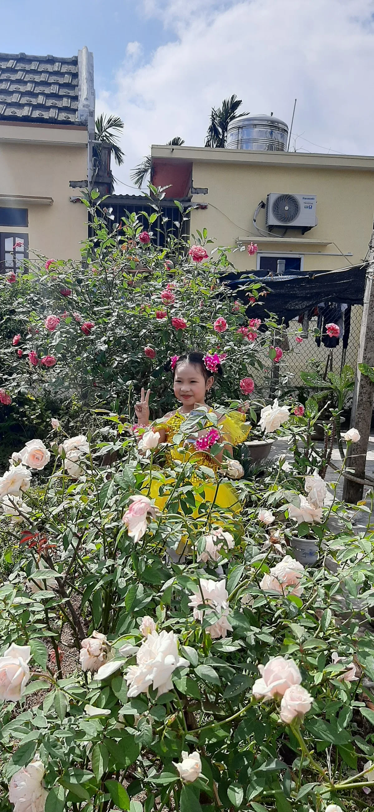 Ảnh Vườn hoa hồng cổ