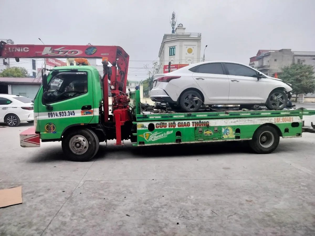 Ảnh cứu hộ nam định