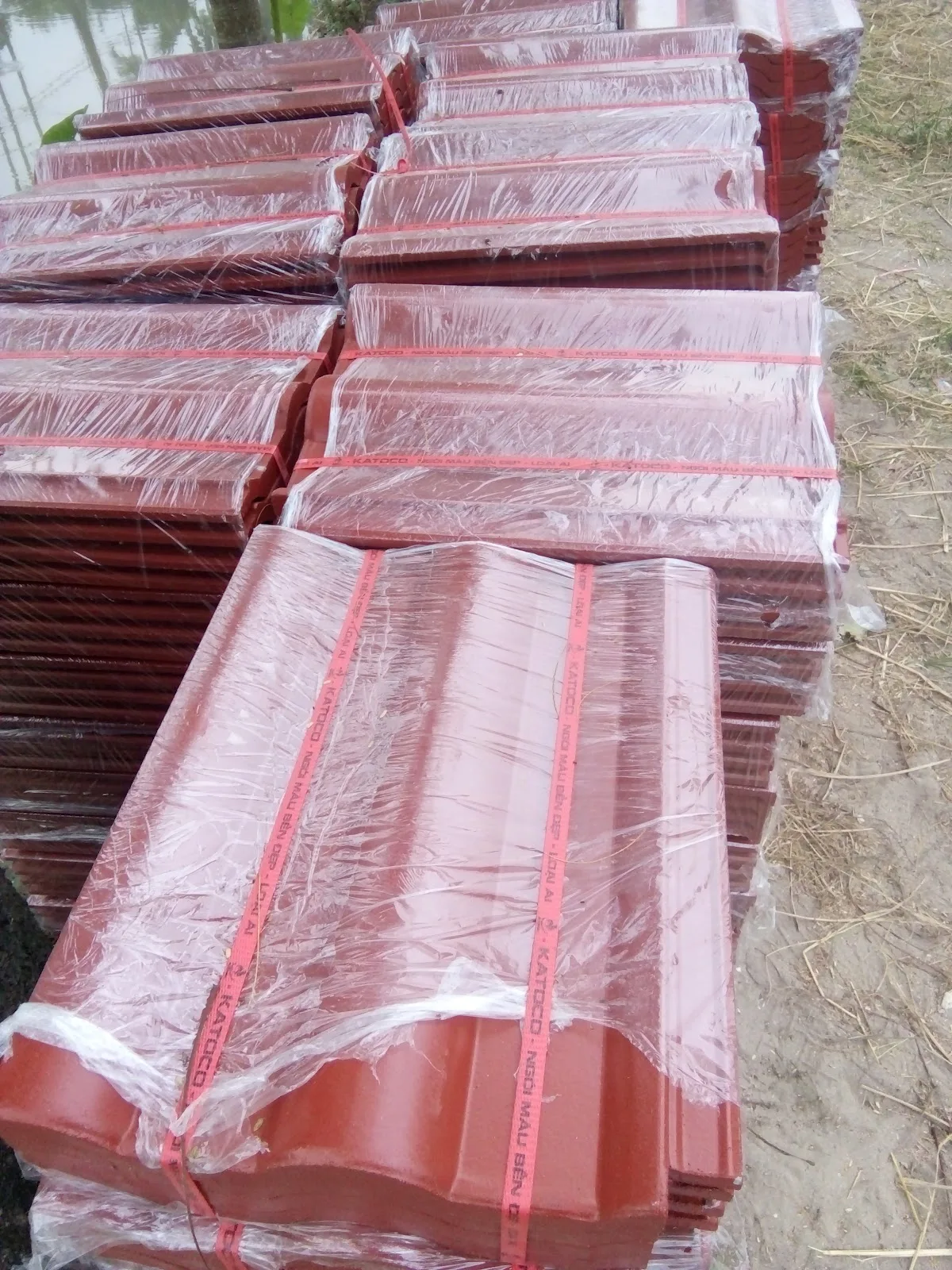 Ảnh 4 — Chợ Mới Hải Đường