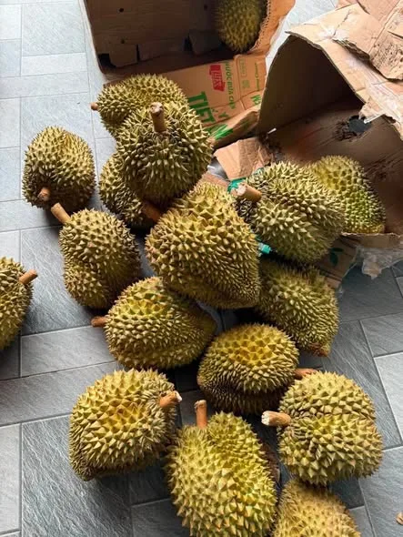 SẦU THÁI về nhiều ạ – ảnh 1/1